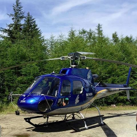 Aerial Survey Helicopter