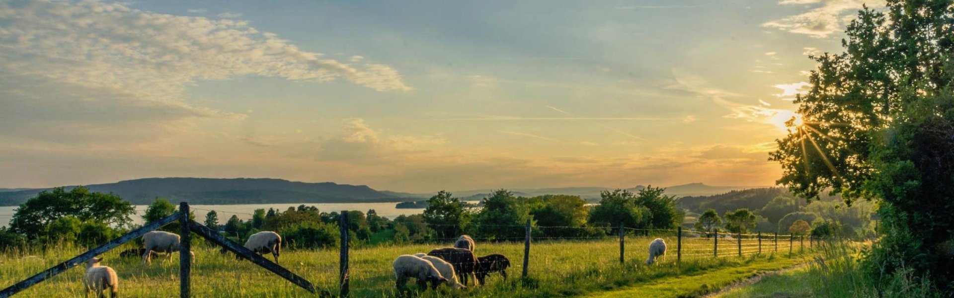 Agricultural Projects Using Helicopters