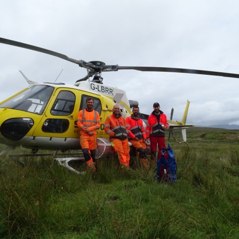 Ground Team
