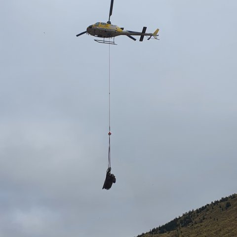 Heli in transit