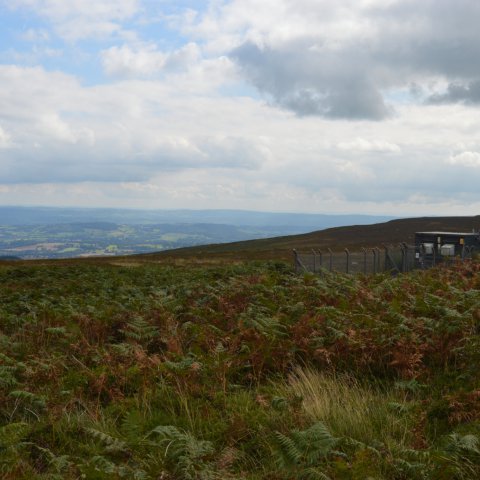 Site